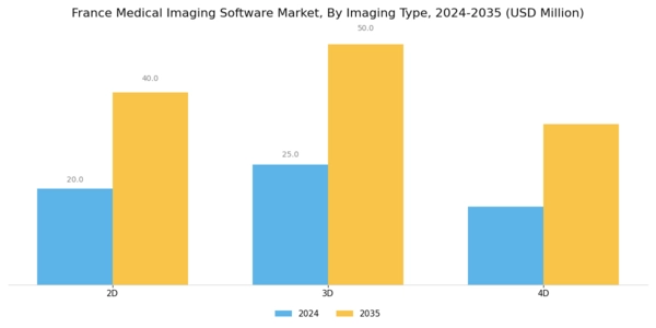 France Medical Imaging Software Market Segment Image 1