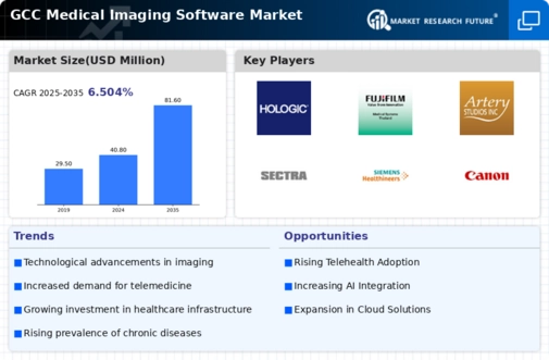 GCC Medical Imaging Software Market Infographic