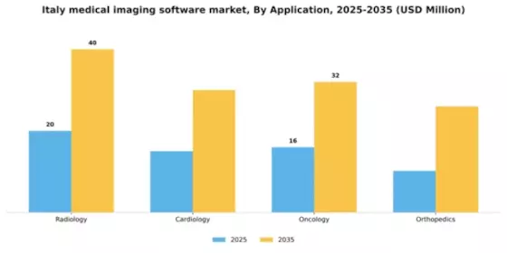 Italy Medical Imaging Software Market Segment Image 0