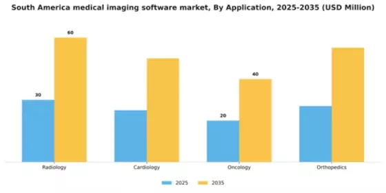 South America Medical Imaging Software Market Segment Image 0