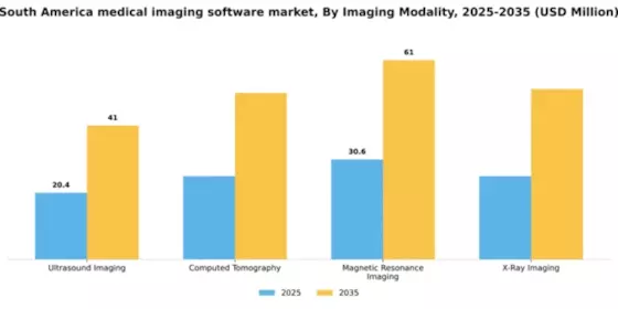 South America Medical Imaging Software Market Segment Image 3