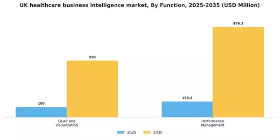 UK Healthcare Business Intelligence Market Segment Image 1