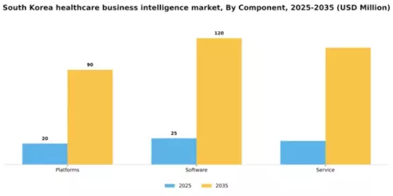 South Korea Healthcare Business Intelligence Market Segment Image 0