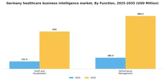 Germany Healthcare Business Intelligence Market Segment Image 1