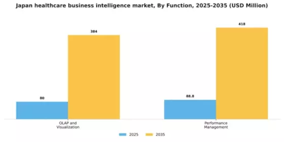 Japan Healthcare Business Intelligence Market Segment Image 1