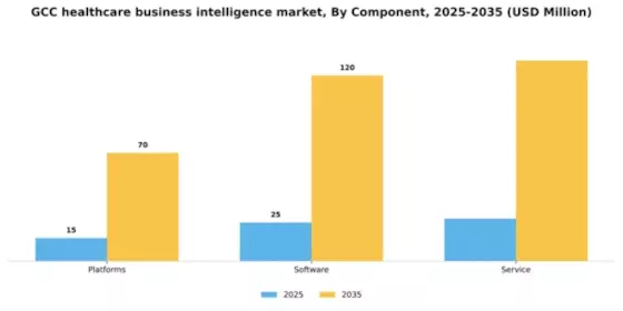 GCC Healthcare Business Intelligence Market Segment Image 0