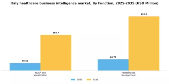 Italy Healthcare Business Intelligence Market Segment Image 1