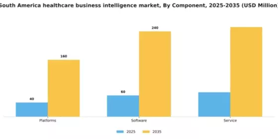 South America Healthcare Business Intelligence Market Segment Image 0