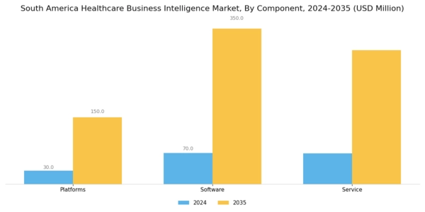 South America Healthcare Business Intelligence Market Segment Image 0