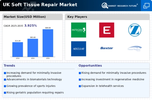 UK Soft Tissue Repair Market Infographic