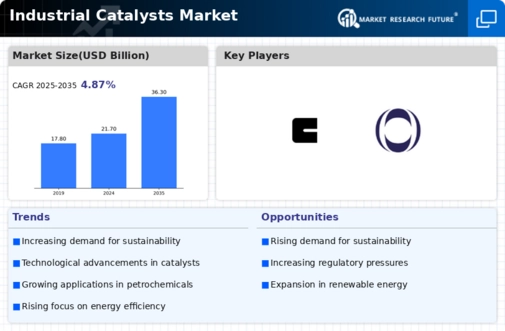 Industrial Catalysts Market Infographic