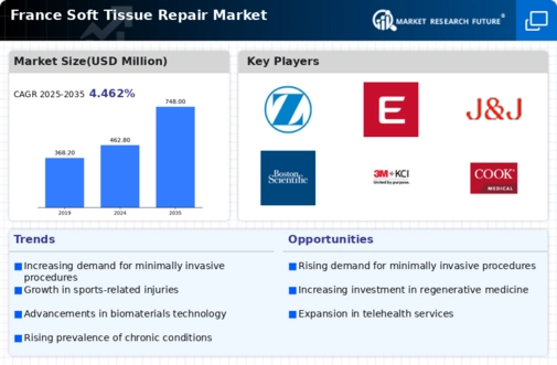 France Soft Tissue Repair Market Infographic