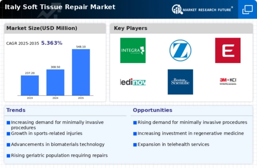 Italy Soft Tissue Repair Market Infographic