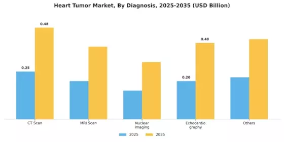 Heart Tumor Market Segment Image 0