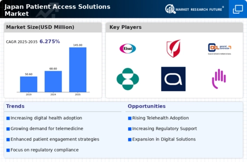 Japan Patient Access Solutions Market Infographic