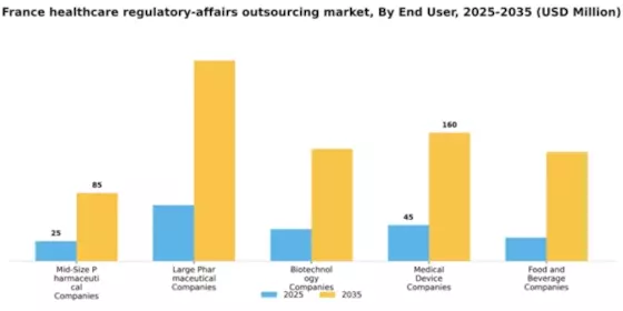 France Healthcare Regulatory Affairs Outsourcing Market Segment Image 0