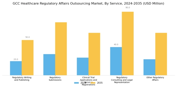 GCC Healthcare Regulatory Affairs Outsourcing Market Segment Image 0