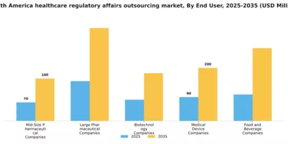 South America Healthcare Regulatory Affairs Outsourcing Market Segment Image 0