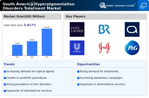 South America Hyperpigmentation Disorders Treatment Market Infographic