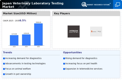 Japan Veterinary Laboratory Testing Market Infographic