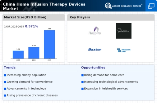 China Home Infusion Therapy Devices Market Infographic