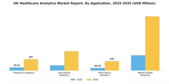 UK Healthcare Analytics Market Segment Image 0