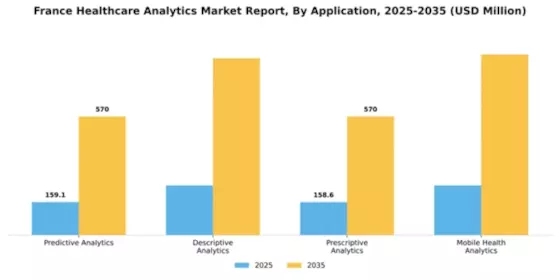 France Healthcare Analytics Market Segment Image 0