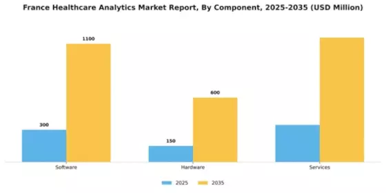 France Healthcare Analytics Market Segment Image 1