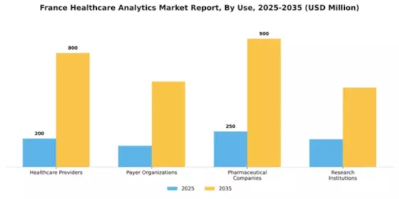 France Healthcare Analytics Market Segment Image 3