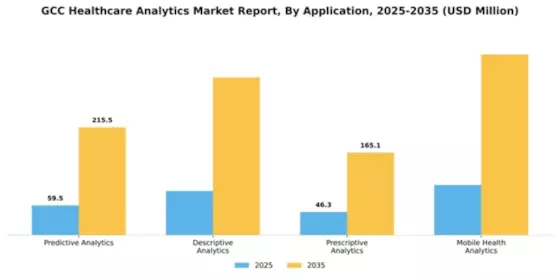 GCC Healthcare Analytics Market Segment Image 0