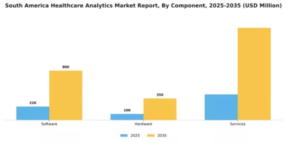 South America Healthcare Analytics Market Segment Image 1