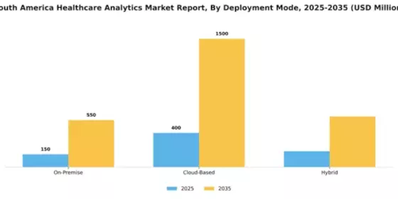South America Healthcare Analytics Market Segment Image 2