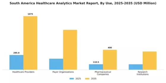 South America Healthcare Analytics Market Segment Image 3