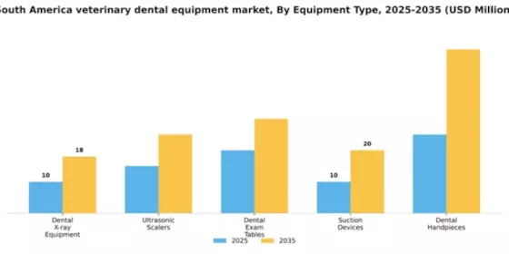 South America Veterinary Dental Equipment Market Segment Image 2