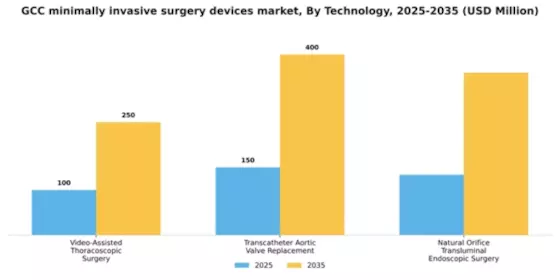 GCC Minimally Invasive Surgery Devices Market Segment Image 3