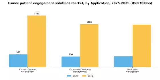 France Patient Engagement Solutions Market Segment Image 0