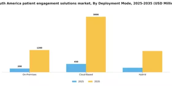 South America Patient Engagement Solutions Market Segment Image 1