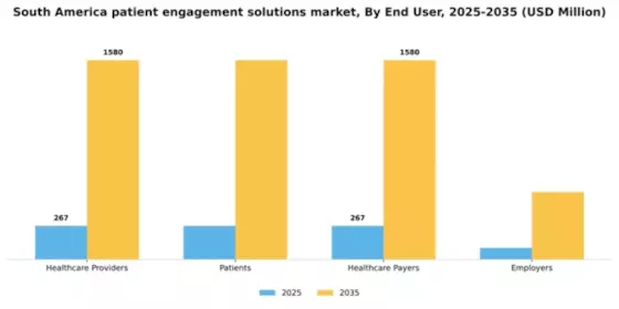 South America Patient Engagement Solutions Market Segment Image 2