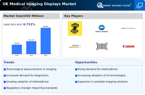 UK Medical Imaging Displays Market Infographic
