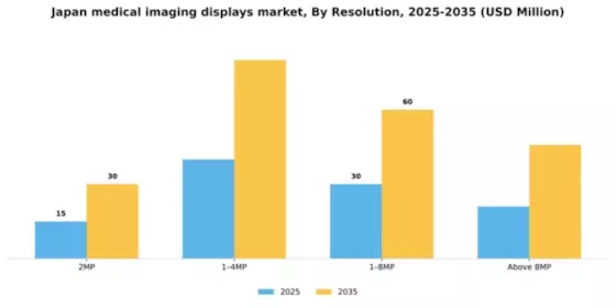 Japan Medical Imaging Displays Market Segment Image 3