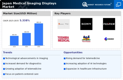 Japan Medical Imaging Displays Market Infographic