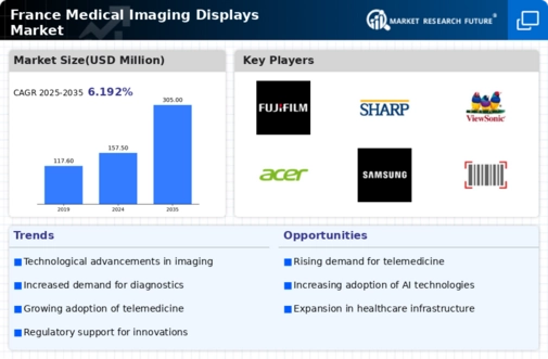 France Medical Imaging Displays Market Infographic