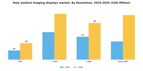 Italy Medical Imaging Displays Market Segment Image 3