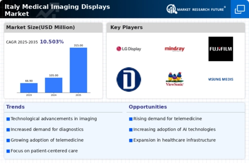 Italy Medical Imaging Displays Market Infographic