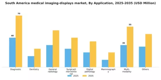 South America Medical Imaging Displays Market Segment Image 0