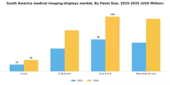 South America Medical Imaging Displays Market Segment Image 2