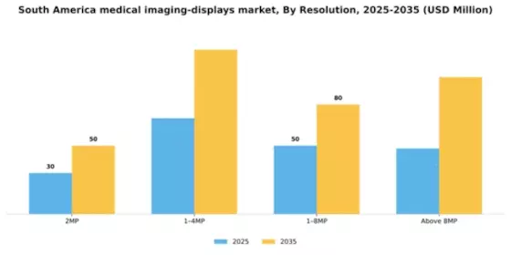 South America Medical Imaging Displays Market Segment Image 3
