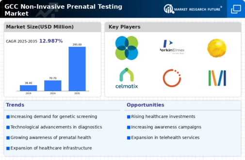 GCC Non Invasive Prenatal Testing Market Infographic