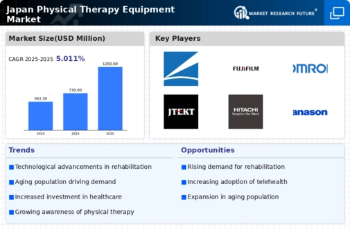 Japan Physical Therapy Equipment Market Infographic