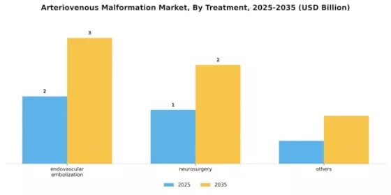 Arteriovenous Malformation Market Segment Image 2
